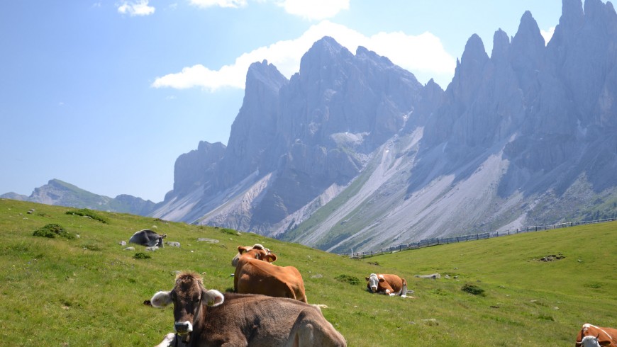 Val di Funes, South Tyrol