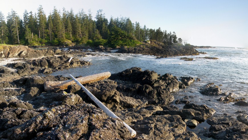Pacific Rim National Park, Canada