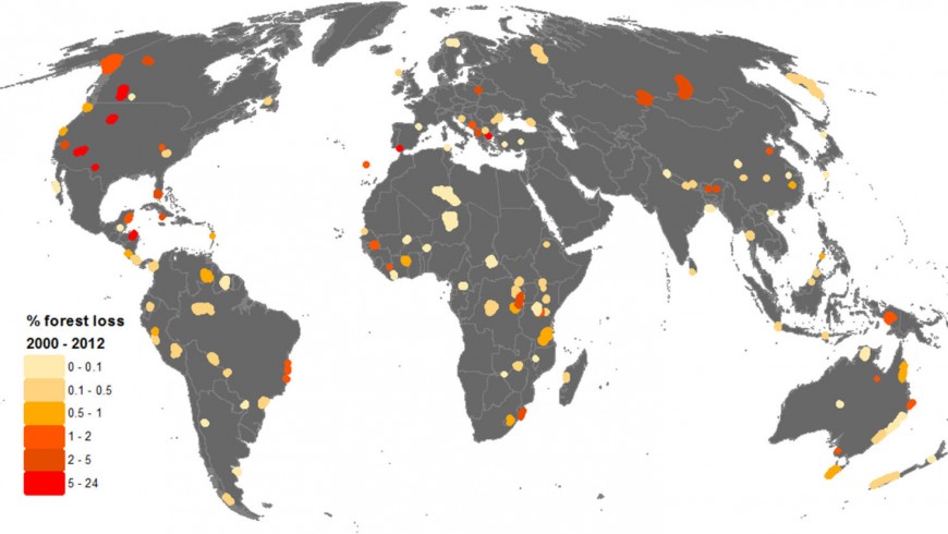 Forest loss in UNESCO sites