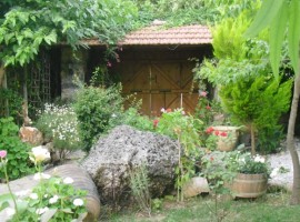 Fig Garden, holiday homes in Turkey