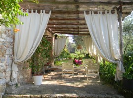 Organic Farm in Camaiore