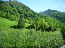 Plan, Moso in Val Passiria, South Tyrol