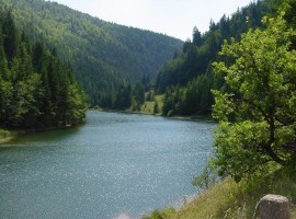 Palcmanska Masa natural pool