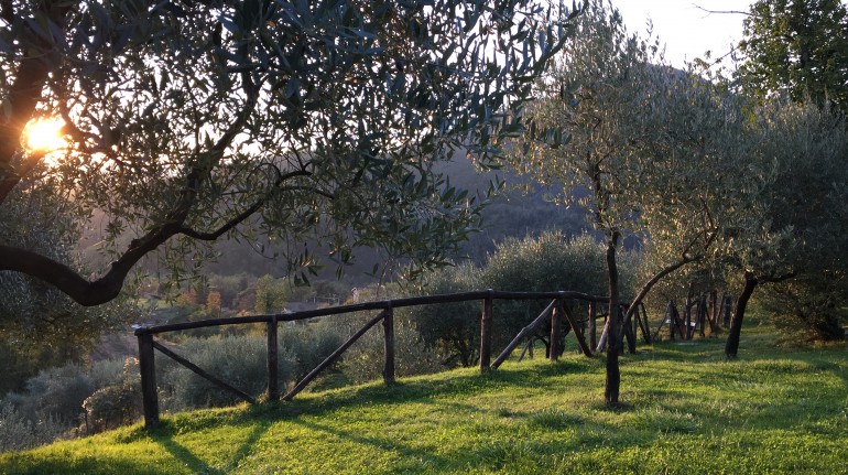 Destination Val di Vara, the most organic valley in Italy
