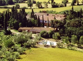 Farmhouses among the olive trees that are worth a trip in Italy