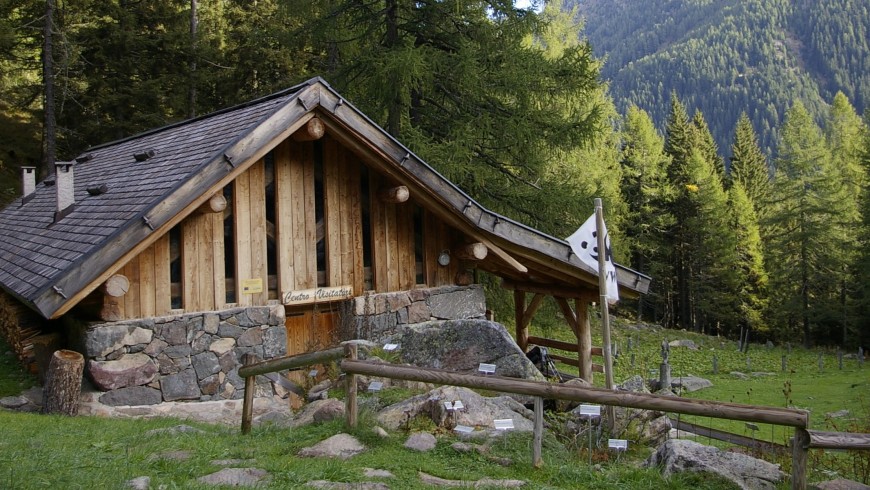 Valtrigona WWF Oasis, Trentino