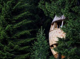 A new tree house in Friuli Venezia Giulia