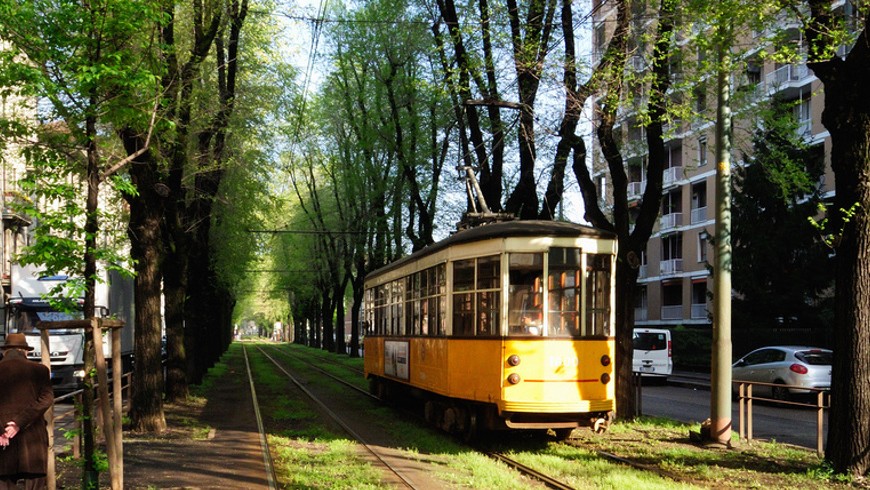 Yellow tram driving through a street of elm trees - 180 of them were taken down in 2013. Urban green in Milan.