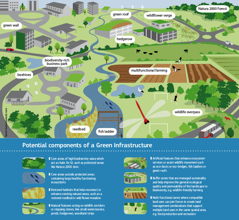 The Urban Green Infrastructures include the natural and semi-natural areas, and other environmental elements, that allow the people living in a city to benefit from many services, concerning health, quality of air, climate, etc. The image, which shows the potential components of a Green Infrastructure, is taken from"Building a Green Infrastructure for Europe", via ec.europa.eu