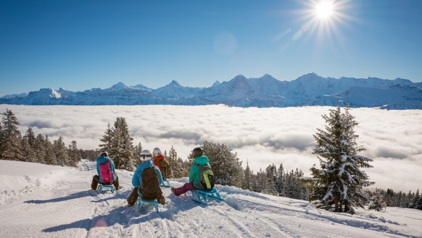 At Interlaken, tobogganing in the heart of Switzerland