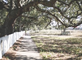 Path in the shade, photo by Annie Theby via Unsplash