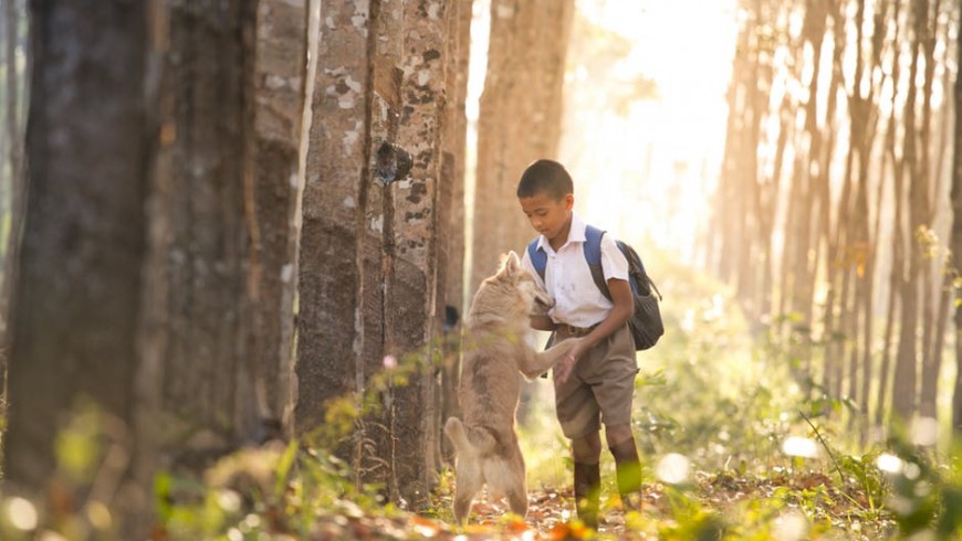 Thanks to dogs, children become more sensitive and responsible