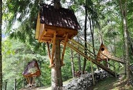Tree Village in Claut (Friuli), Italy