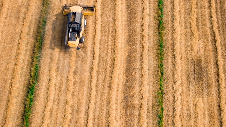 Defenders of the Earth, field, Photo by Kees Streefkerk via Unsplash