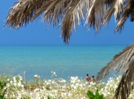 Beautiful view of the sea from Maremirtilli ecovillage