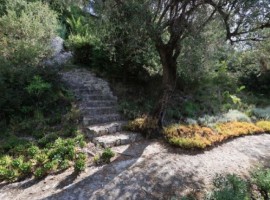 Botanic garden - Mortola tower luxury eco resort