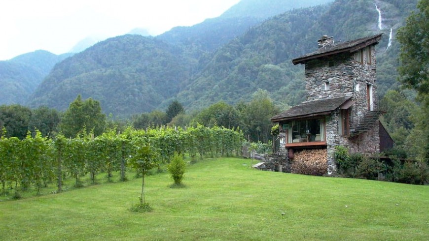 A charming tower immersed in a vineyard