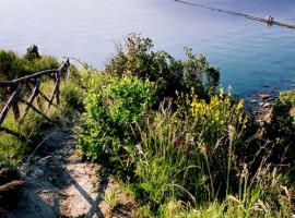 Acanto Country House: a stone’s throw from the sea