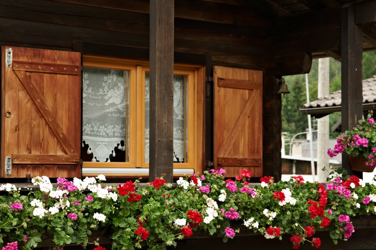 A chalet among the roses of Dolomites