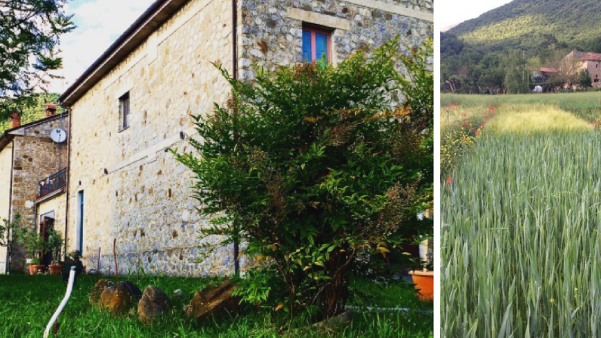 Il Querceto, an agritourism company committed to safeguarding biodiversity
