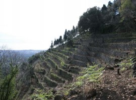 24 hectares of biodiversity on the slopes of Etna