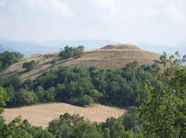 Landscapes near the agriturismo Il Querceto