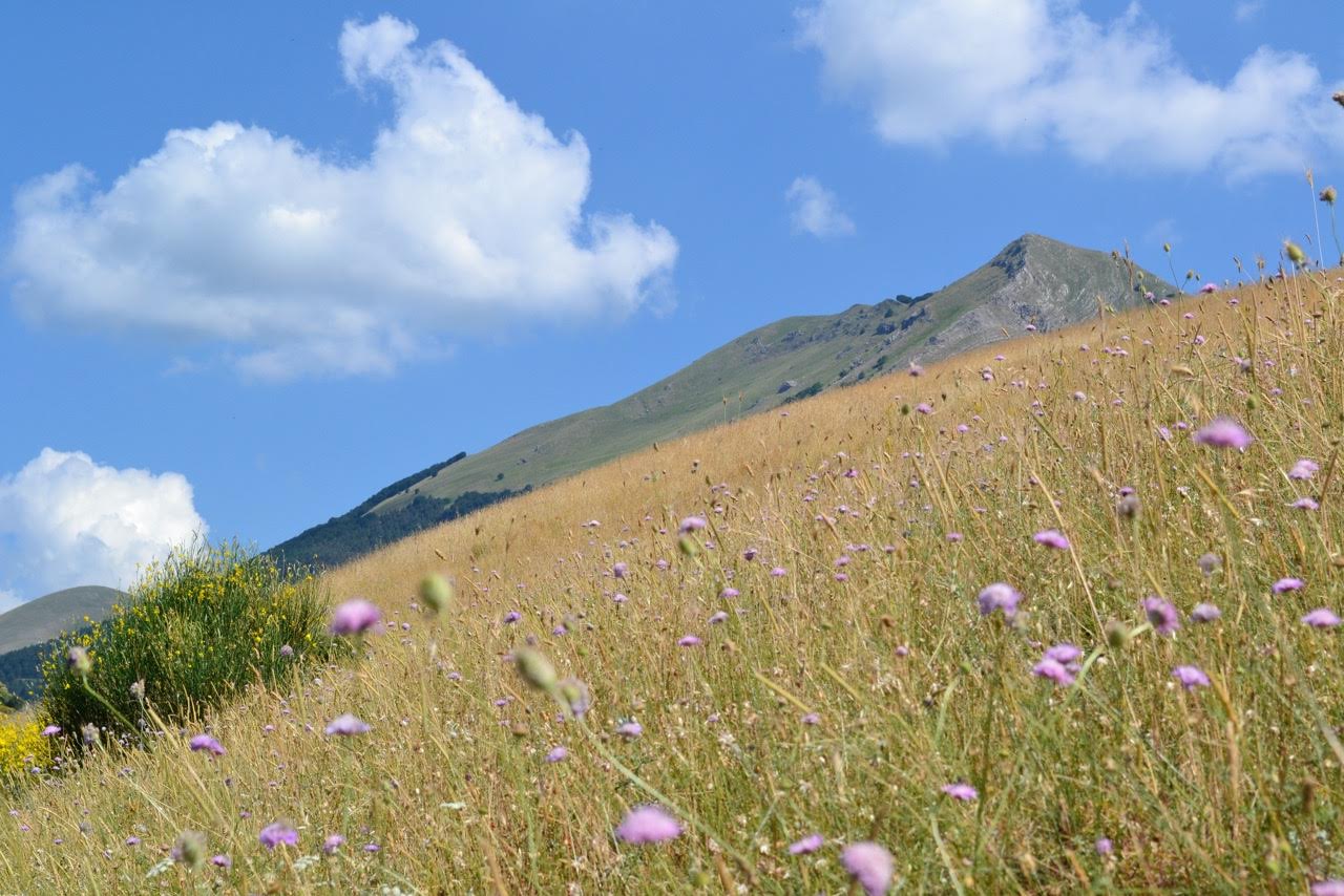 Spring among the peaks of the Lucanian Apennines
