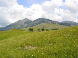 Landscape between the peaks of the Lucanian Apennines