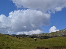 Landscape between the peaks of the Lucanian Apennines