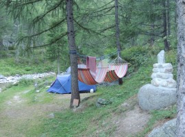 Hammocks and tents between the trees of the forest
