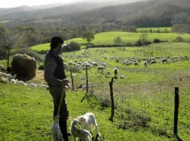A holiday on a farm in Maremma