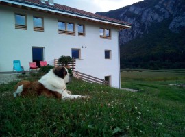 A farm holiday at the foot of the Adamello Brenta Nature Park