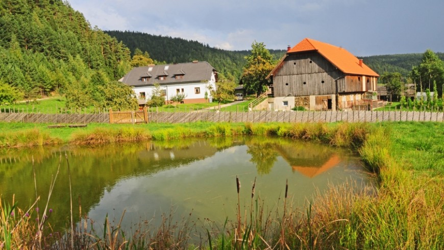 Mikl farm, Slovenia