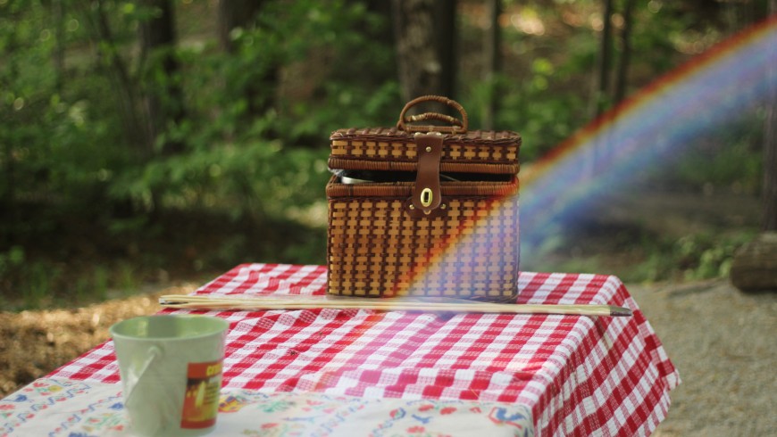 A picnic in nature for summer solstice