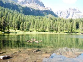 lake of Passo San Pellegrino