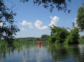 One day in a canoe along the Danube in Serbia