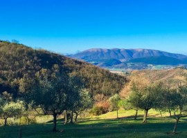 Digital detox at Podere Vallescura Off The Grid