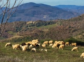 Digital detox at Podere Vallescura Off The Grid