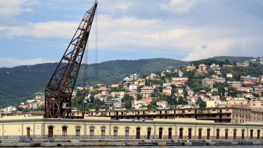 Ursus, Trieste