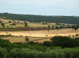 Masseria Torricella, eco farm in Apulia