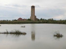 Isole laguna - green Venice