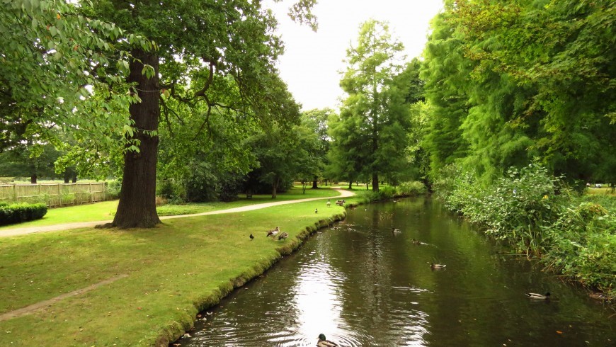 BUshy Park, London