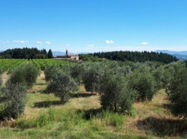 Eco-friendly accommodation among Chianti vineyards