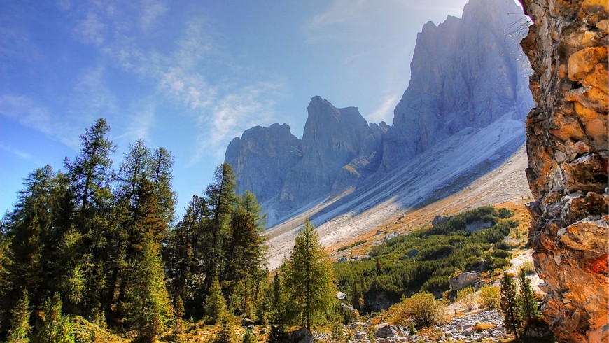 Foliage in South Tyrol, among the peaks of the Odle