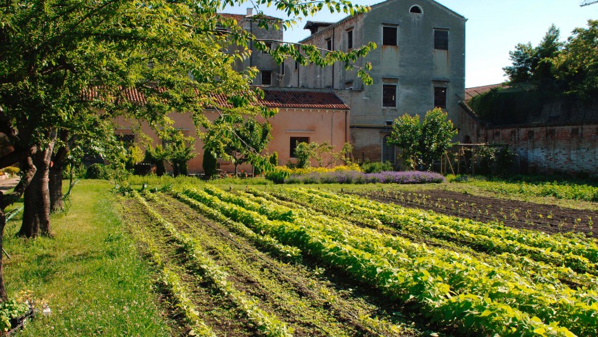 orto delle meraviglie-green Venice