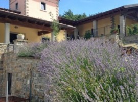 Your room among the lavender fields