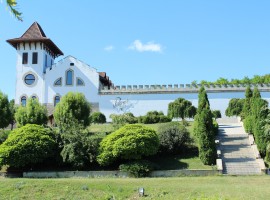 Castle of Purcari Chisinau