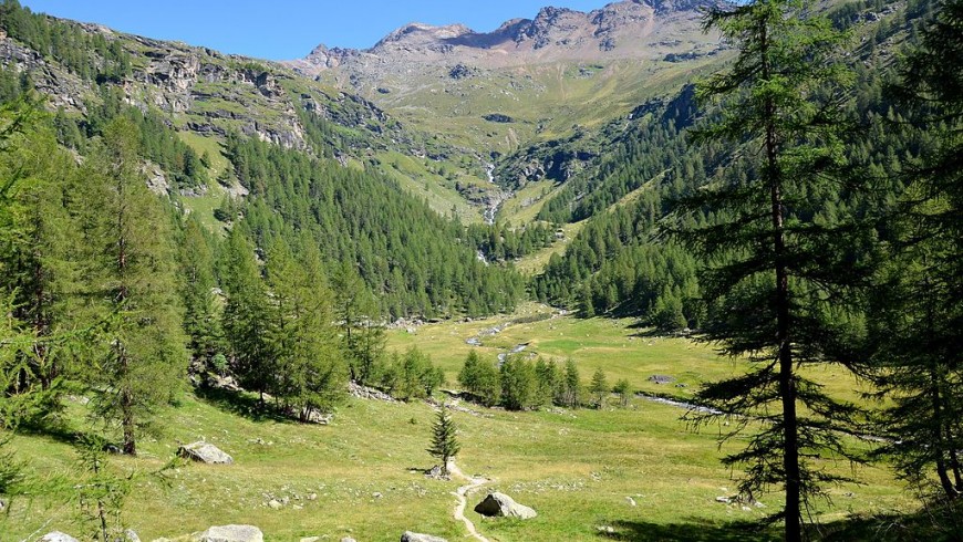 On the trail of deer in Val di Rabbi