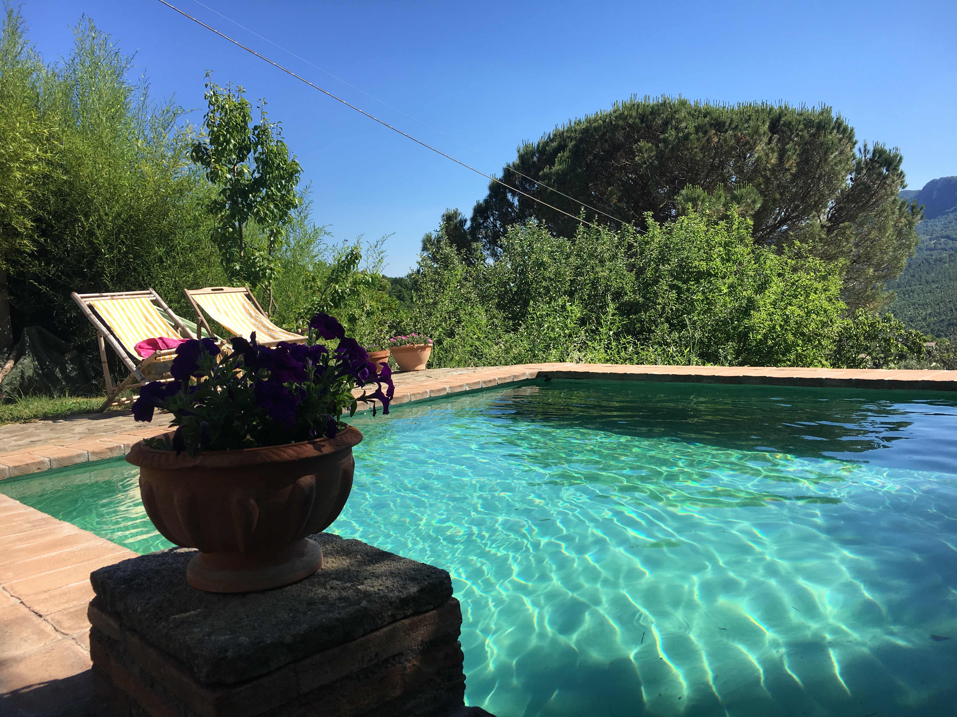 Eco-friendly pool, Podere di Maggio, Tuscany