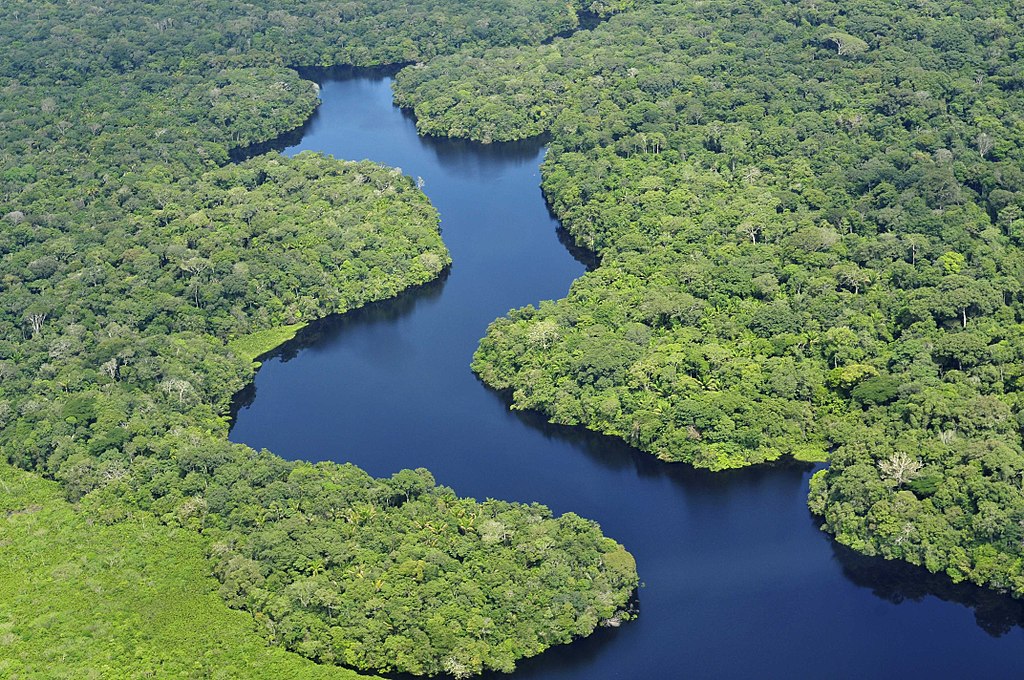 Aereal view of the Amazon Rainforest, Brazil